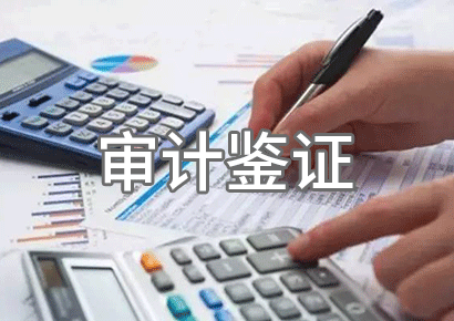 审计鉴证业务