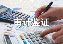 审计鉴证业务